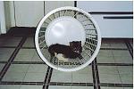 Click image for larger version

Name:	basketcat.jpg
Views:	285
Size:	279.2 KB
ID:	935206