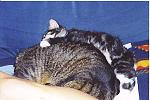 Click image for larger version

Name:	brothers.jpg
Views:	272
Size:	409.5 KB
ID:	935208