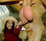 Click image for larger version

Name:	ballscup.jpg
Views:	269
Size:	76.7 KB
ID:	935254