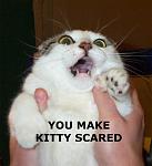 Click image for larger version

Name:	scaredkitty.jpg
Views:	263
Size:	31.8 KB
ID:	935260