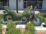 Click image for larger version

Name:	chiaharley.jpg
Views:	372
Size:	43.9 KB
ID:	935297