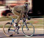Click image for larger version

Name:	tourdefrance.jpg
Views:	369
Size:	34.9 KB
ID:	935298