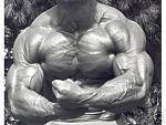 Click image for larger version

Name:	muscle !!!!! woow.jpg
Views:	242
Size:	25.5 KB
ID:	935305