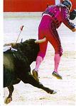 Click image for larger version

Name:	bullfight1.jpg
Views:	333
Size:	20.5 KB
ID:	935364