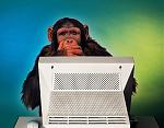 Click image for larger version

Name:	digital_monkey.jpg
Views:	283
Size:	66.3 KB
ID:	935398