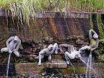Click image for larger version

Name:	the%20monkeys.jpg
Views:	257
Size:	138.5 KB
ID:	935403