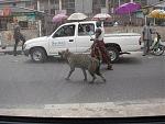 Click image for larger version

Name:	1nigerians1-med.jpg
Views:	327
Size:	45.5 KB
ID:	935606