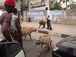 Click image for larger version

Name:	1nigerians2-med.jpg
Views:	306
Size:	53.1 KB
ID:	935617