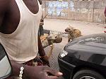 Click image for larger version

Name:	1nigerians3-med.jpg
Views:	290
Size:	42.3 KB
ID:	935618