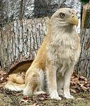 Click image for larger version

Name:	uzoo1.jpg
Views:	327
Size:	49.3 KB
ID:	935630