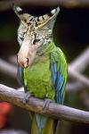 Click image for larger version

Name:	uzoo11.jpg
Views:	337
Size:	54.0 KB
ID:	935633