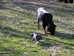 Click image for larger version

Name:	pict0001.jpg
Views:	328
Size:	298.9 KB
ID:	935648