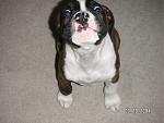 Click image for larger version

Name:	pict0051.jpg
Views:	293
Size:	346.9 KB
ID:	935650