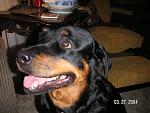 Click image for larger version

Name:	pict0030.jpg
Views:	251
Size:	336.1 KB
ID:	935655