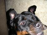Click image for larger version

Name:	pict0037.jpg
Views:	240
Size:	313.2 KB
ID:	935656