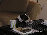 Click image for larger version

Name:	pict0023.jpg
Views:	245
Size:	334.2 KB
ID:	935657