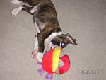 Click image for larger version

Name:	pict0015.jpg
Views:	224
Size:	380.0 KB
ID:	935658