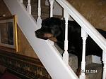Click image for larger version

Name:	pict0008.jpg
Views:	241
Size:	315.7 KB
ID:	935659