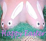 Click image for larger version

Name:	bunnies.jpg
Views:	279
Size:	42.6 KB
ID:	935778