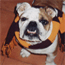 Click image for larger version

Name:	erpomi[1].gif
Views:	688
Size:	5.2 KB
ID:	935833
