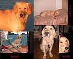 Click image for larger version

Name:	varierocky.jpg
Views:	660
Size:	42.3 KB
ID:	935836