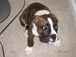 Click image for larger version

Name:	wooooooo.jpg
Views:	323
Size:	62.5 KB
ID:	935838