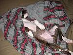 Click image for larger version

Name:	sleep resized.jpg
Views:	321
Size:	47.9 KB
ID:	935839