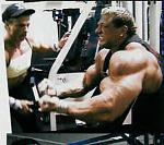 Click image for larger version

Name:	synthol.jpg
Views:	307
Size:	188.5 KB
ID:	936136