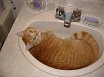 Click image for larger version

Name:	finndec2102.jpg
Views:	327
Size:	32.1 KB
ID:	936166