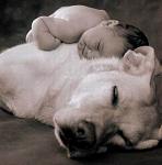 Click image for larger version

Name:	babydog.jpg
Views:	155
Size:	24.0 KB
ID:	936214