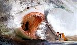 Click image for larger version

Name:	jaws.jpg
Views:	433
Size:	64.6 KB
ID:	936250