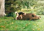 Click image for larger version

Name:	squeeeeel.jpg
Views:	423
Size:	101.2 KB
ID:	936259