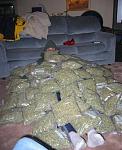 Click image for larger version

Name:	5551potburied-med.jpg
Views:	376
Size:	40.3 KB
ID:	936314