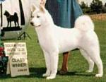 Click image for larger version

Name:	akita-0005.jpg
Views:	239
Size:	12.6 KB
ID:	936372