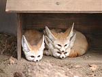 Click image for larger version

Name:	heads.jpg
Views:	343
Size:	47.9 KB
ID:	936404