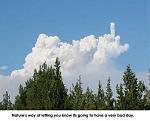 Click image for larger version

Name:	natures way.jpg
Views:	297
Size:	23.8 KB
ID:	936490