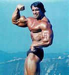 Click image for larger version

Name:	arnoldsinglebiceps.jpg
Views:	1254
Size:	15.7 KB
ID:	936538