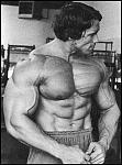 Click image for larger version

Name:	arnoldschwarzenegger-flexing.jpg
Views:	1238
Size:	33.0 KB
ID:	936540