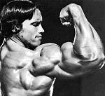 Click image for larger version

Name:	arnoldschwarzenegger219.jpg
Views:	1216
Size:	38.2 KB
ID:	936572