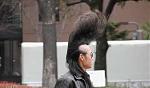 Click image for larger version

Name:	5551hairjob.jpg
Views:	439
Size:	29.2 KB
ID:	936651