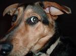 Click image for larger version

Name:	2004_0325image0002.jpg
Views:	271
Size:	25.4 KB
ID:	936767
