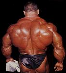Click image for larger version

Name:	resize of dorian02.jpg
Views:	323
Size:	18.3 KB
ID:	937209
