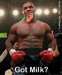Click image for larger version

Name:	miketysongotmilk.jpg
Views:	307
Size:	20.8 KB
ID:	937235