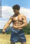 Click image for larger version

Name:	38399hd216_23t-med.jpg
Views:	366
Size:	21.6 KB
ID:	937363