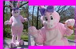 Click image for larger version

Name:	pinkbunnyweb.jpg
Views:	459
Size:	30.7 KB
ID:	937401