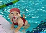 Click image for larger version

Name:	pic27109.jpg
Views:	350
Size:	36.5 KB
ID:	937469