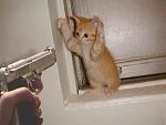 Click image for larger version

Name:	pic12317.jpg
Views:	351
Size:	18.0 KB
ID:	937470