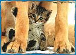 Click image for larger version

Name:	pic00148.jpg
Views:	350
Size:	17.5 KB
ID:	937471