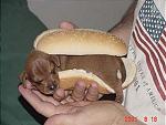 Click image for larger version

Name:	pic24028.jpg
Views:	359
Size:	16.7 KB
ID:	937472