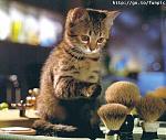 Click image for larger version

Name:	pic11124.jpg
Views:	347
Size:	16.6 KB
ID:	937473